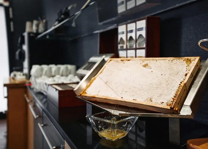 Hotel Ramada By Wyndham 4*